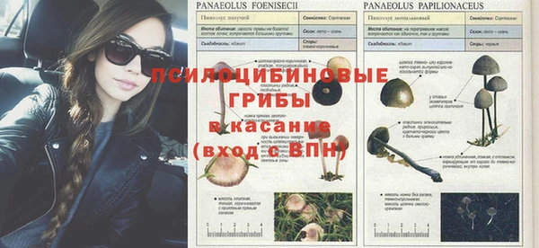 гидропоника Нягань