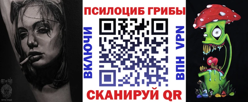 Псилоцибиновые грибы мицелий  Барыш 